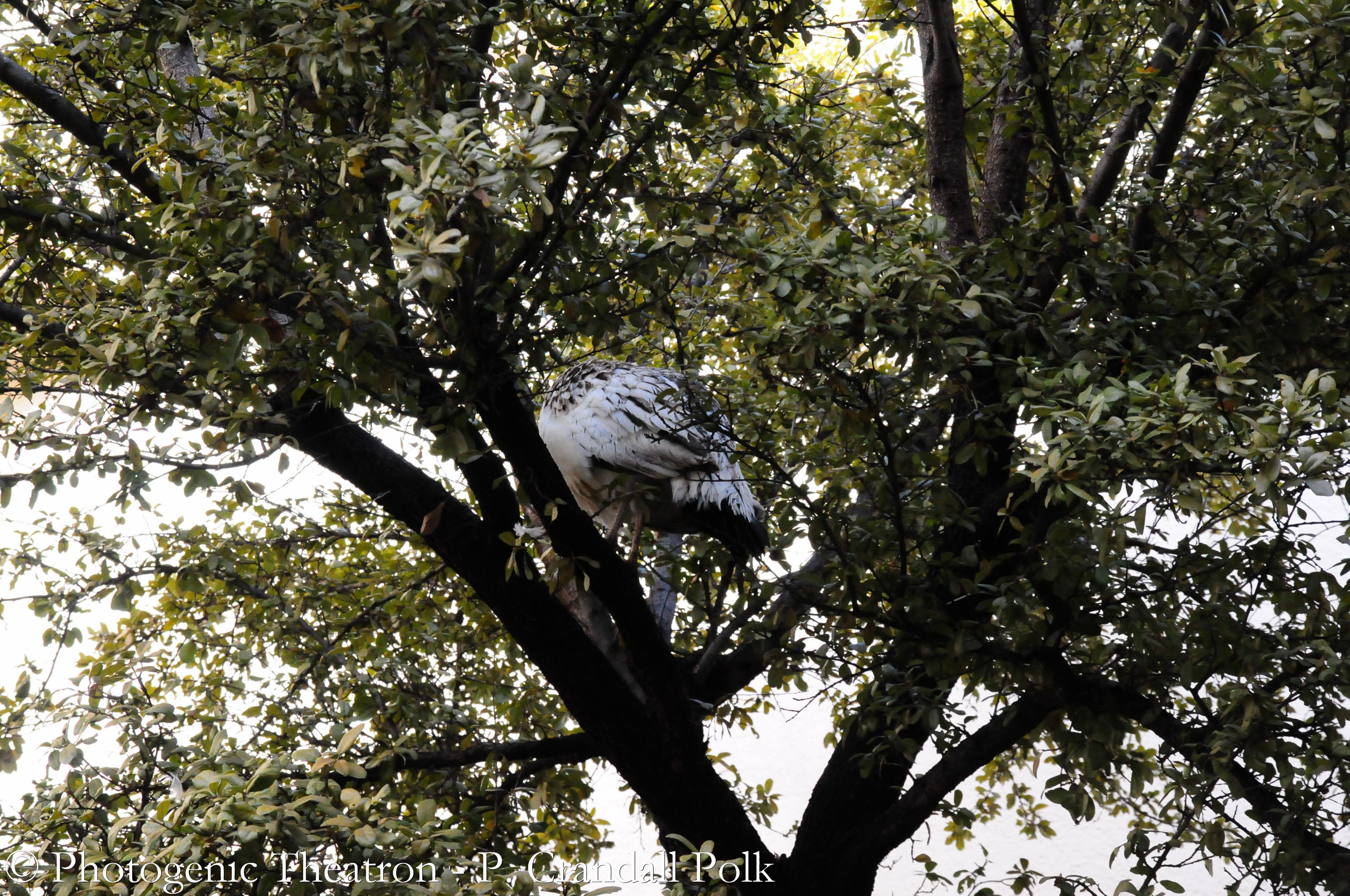 AllCon_2013-1388.jpg