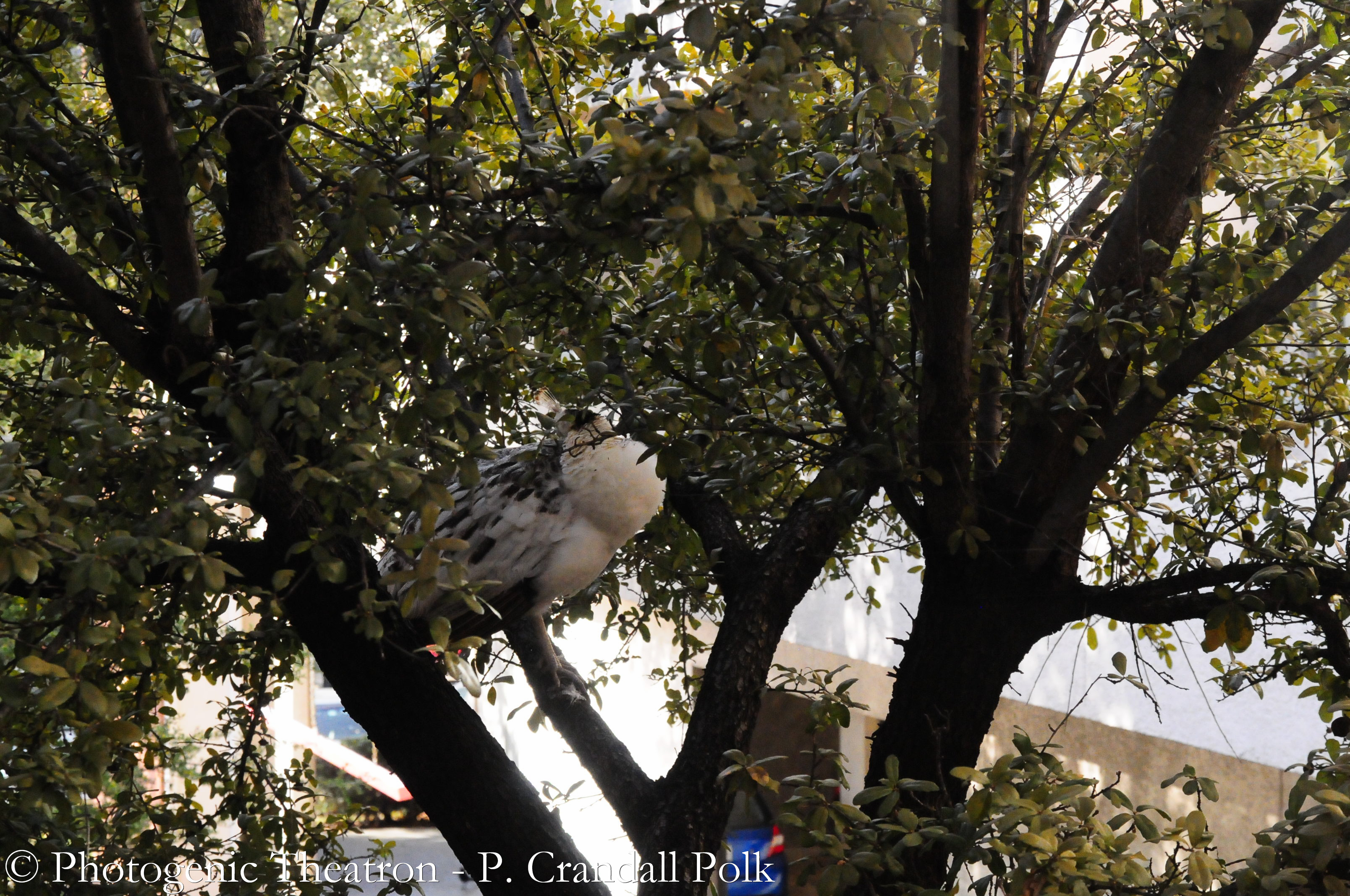 AllCon_2013-1396.jpg