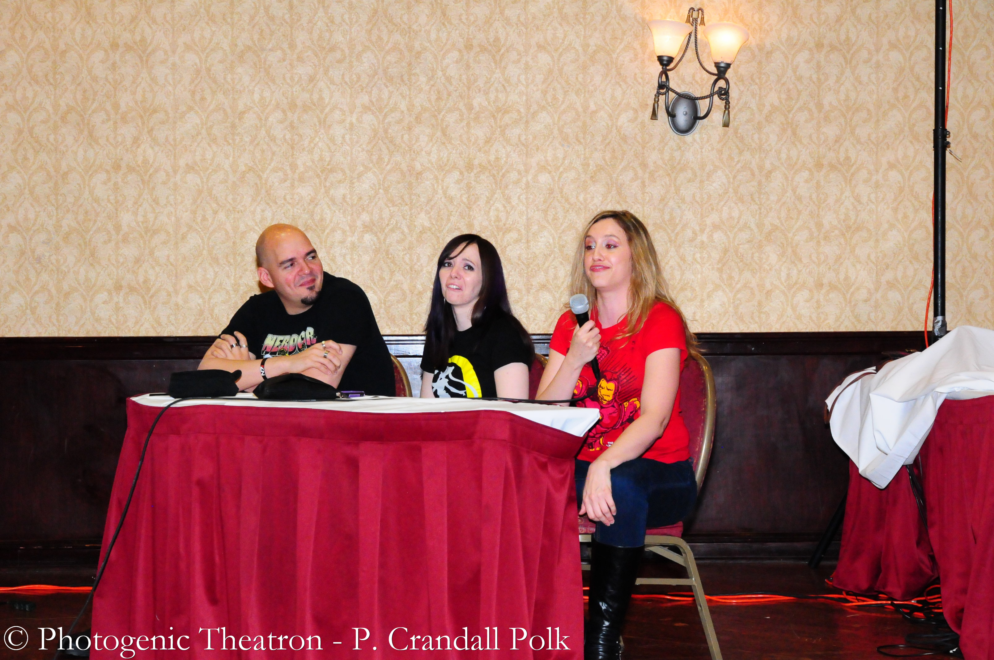 AllCon_2013-1411.jpg