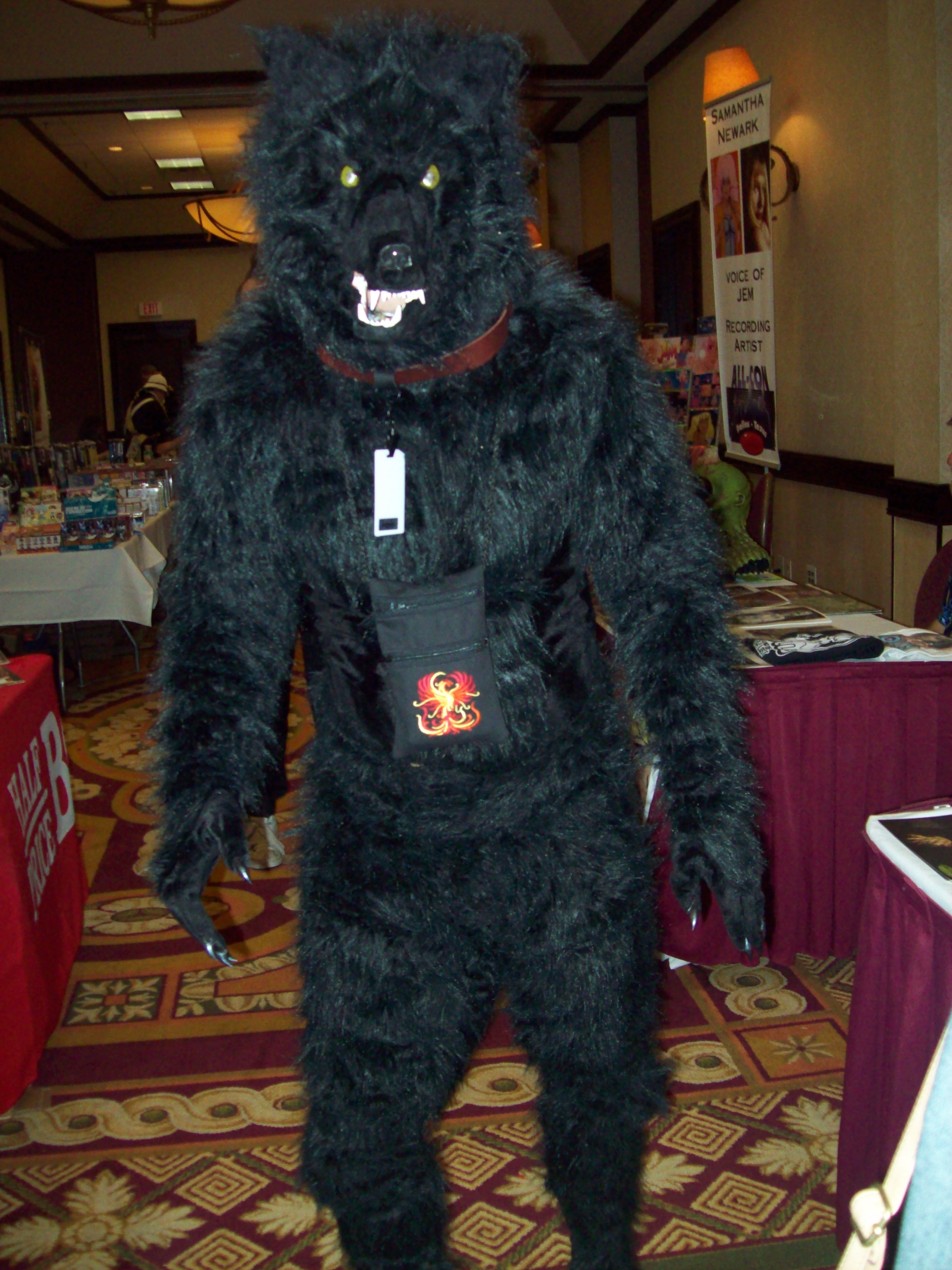 allcon_2013_020.JPG