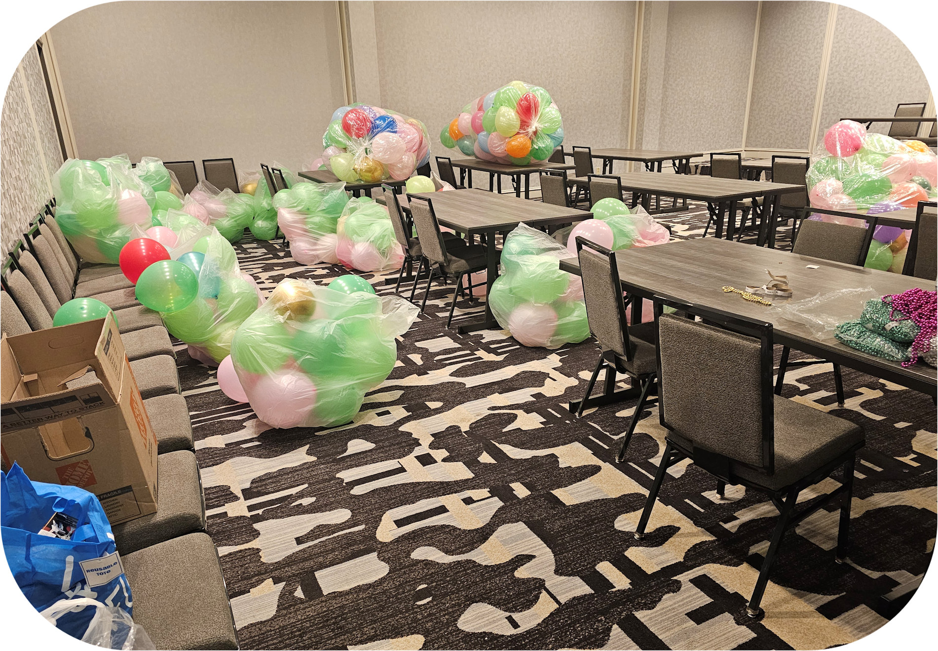 20260312_235212.jpg